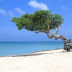 aruba-eagle-beach-fxjl87wnn1l4rxqu