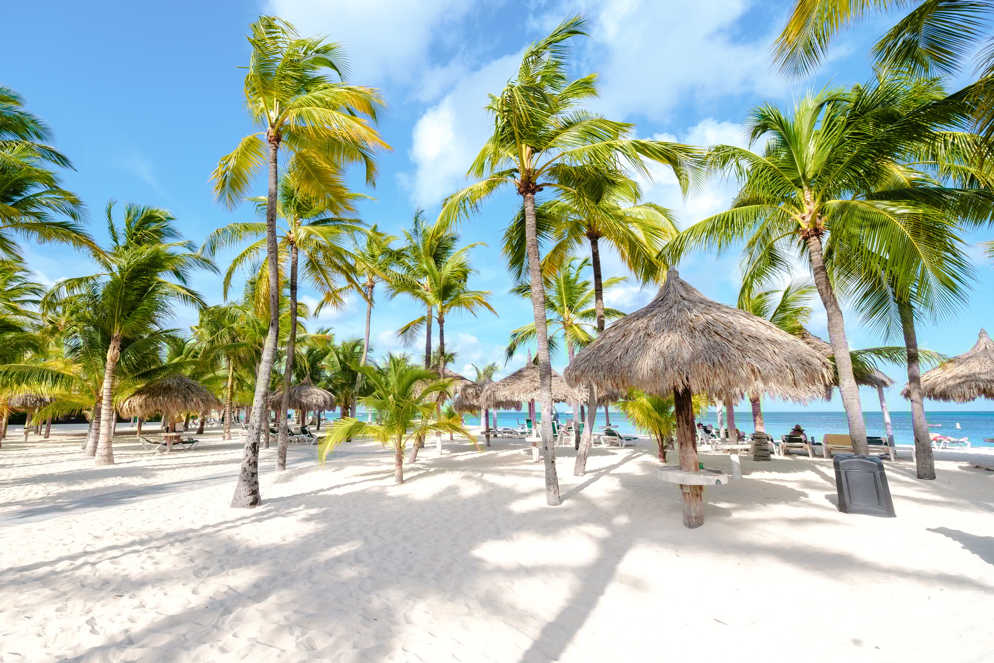 Palm Beach Aruba Caribbean, white long sandy beach with palm trees at Aruba Antilles