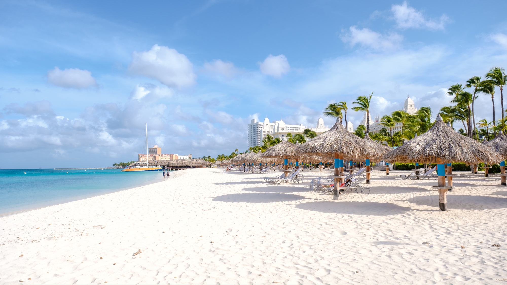 Palm Beach Aruba Caribbean, white long sandy beach with palm trees at Aruba Antilles